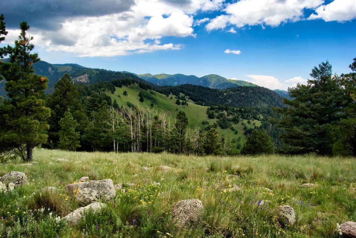 Alpine Cabin, 3 Bedrooms, Deck, Sleeps 8 Ruidoso Exteriér fotografie